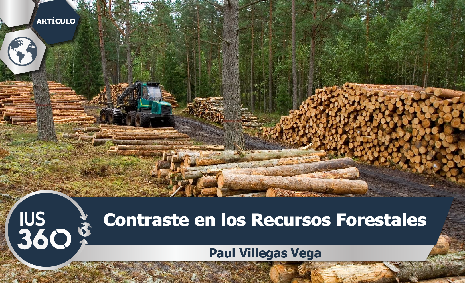 Contraste en los Recursos Forestales | Paul Villegas Vega